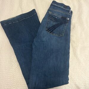 7 For All Mankind Dojo Flare